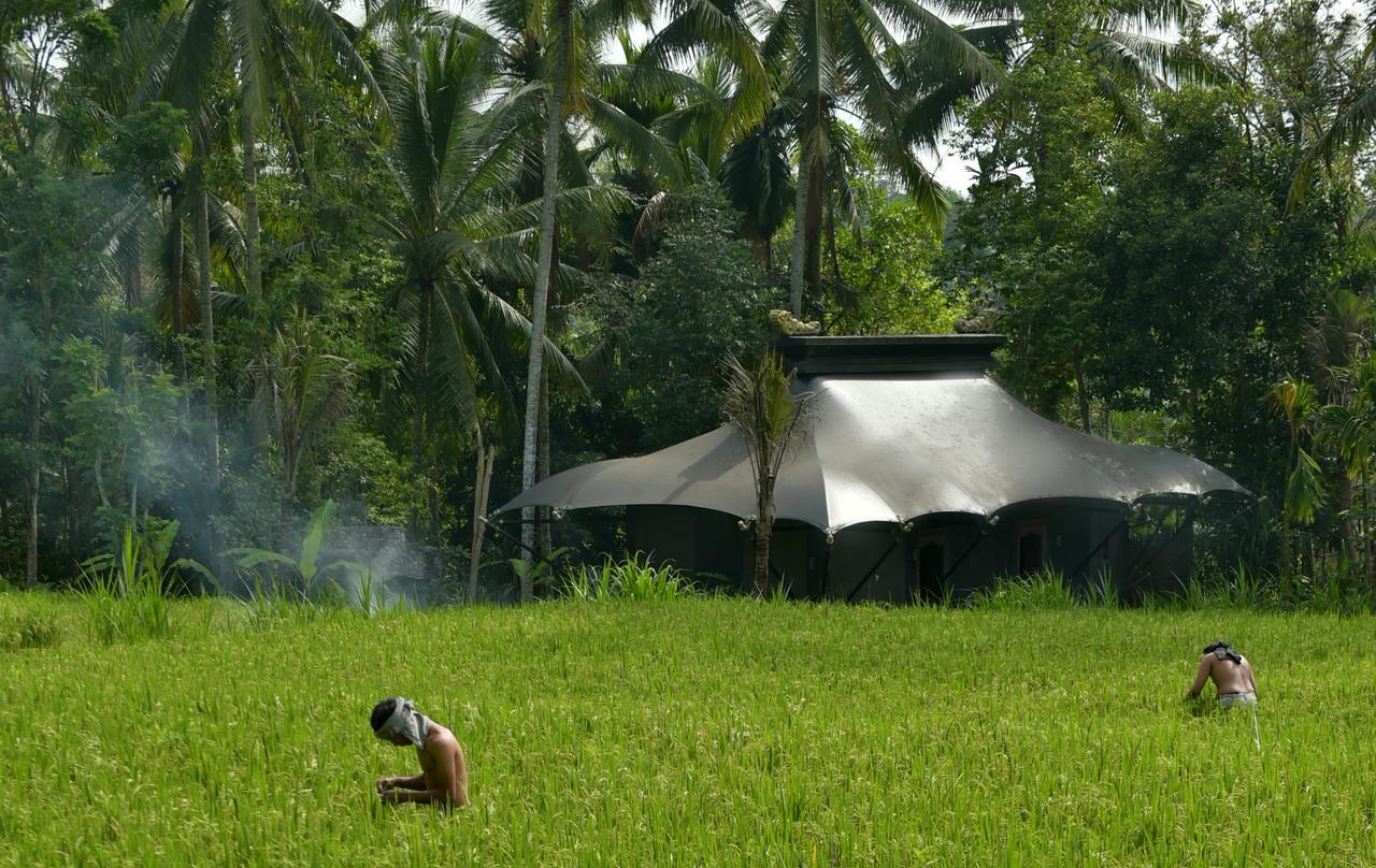 Capella Ubud, Bali Kültér fotó