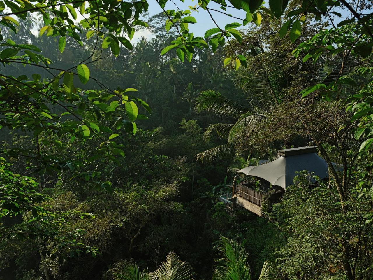 Capella Ubud, Bali Kültér fotó